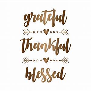 Focusing on Gratitude This Holiday Season