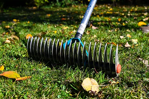 Oasis Wellness Partners - Chiropractic Tips for Safe Leaf Raking in Scarborough
